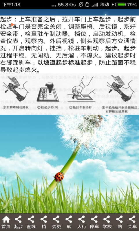 驾考科目二通关宝典截图2