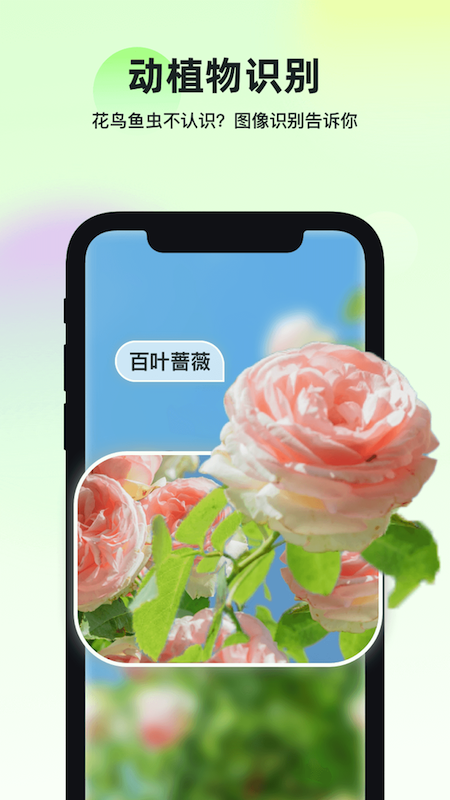 智能识万物截图2
