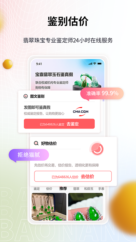 宝囊截图3