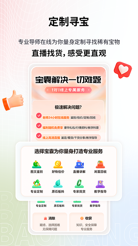宝囊截图5