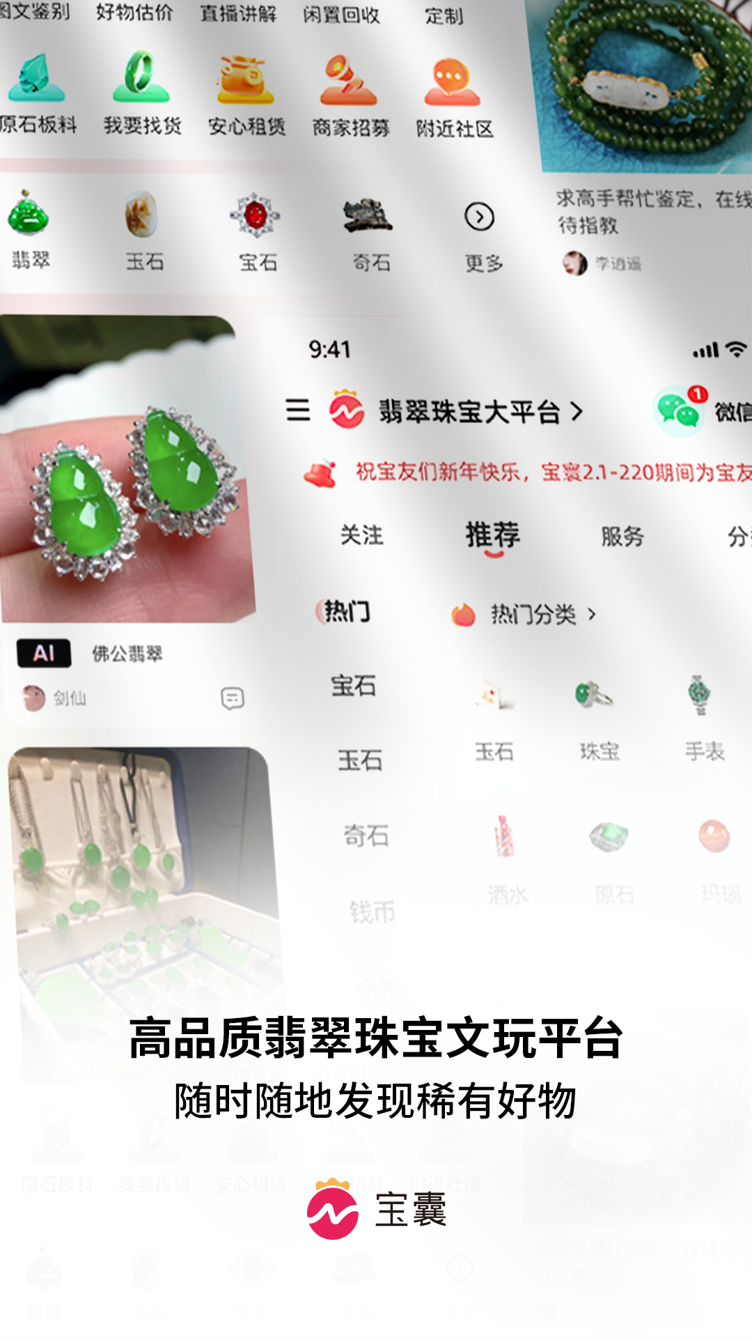 宝囊截图1