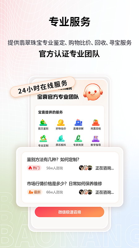 宝囊截图4