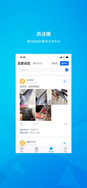 中鸽网截图2