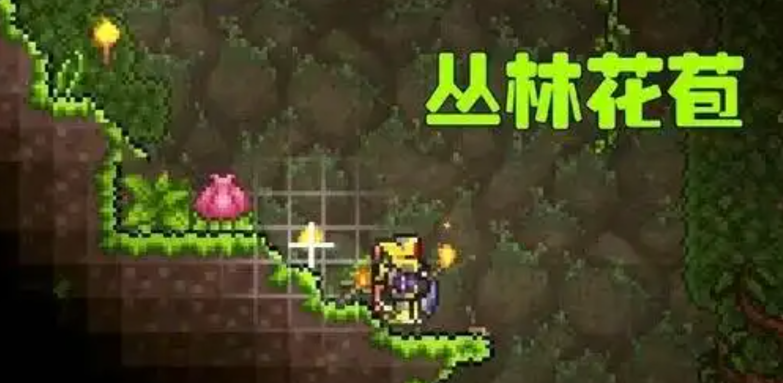 泰拉瑞亚世纪之花如何打败
