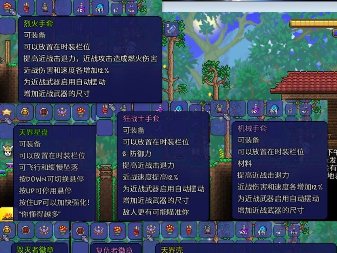 泰拉瑞亚饰品带什么好