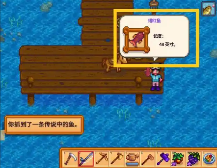 星露谷物语鱼王什么样