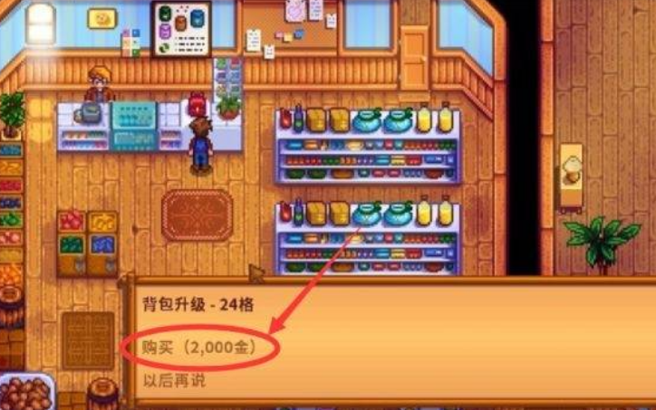 星露谷物语怎么扩大背包容量