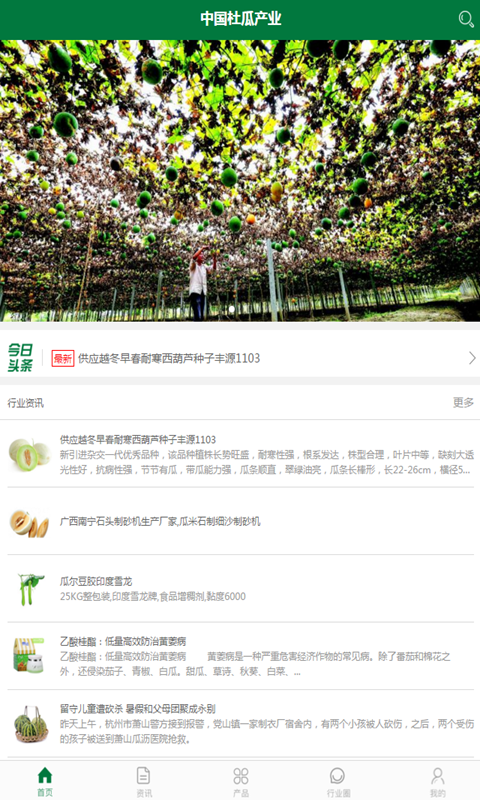 中国杜瓜产业截图3