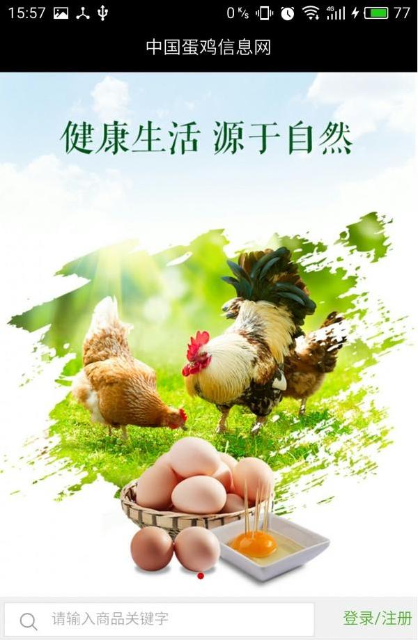 蛋鸡信息网截图3