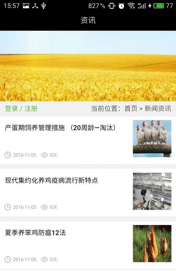 蛋鸡信息网截图1