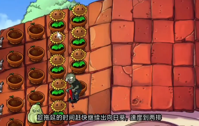 植物大战僵尸跳跳舞会怎么搭配