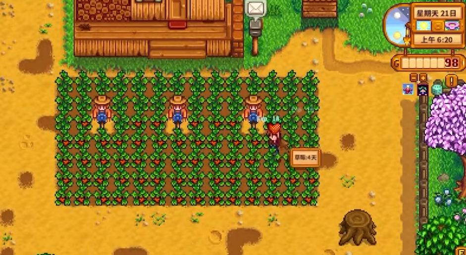 星露谷物语游玩流程是什么