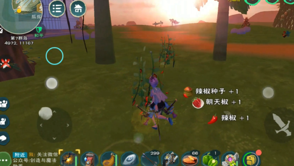 创造与魔法辣椒坐标在哪里