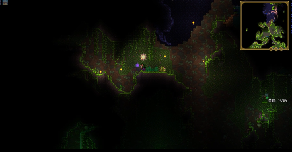 泰拉瑞亚神圣套和叶绿套哪个好