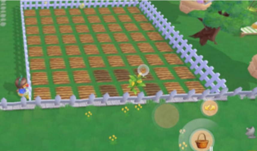 摩尔庄园邻居围栏怎么获得