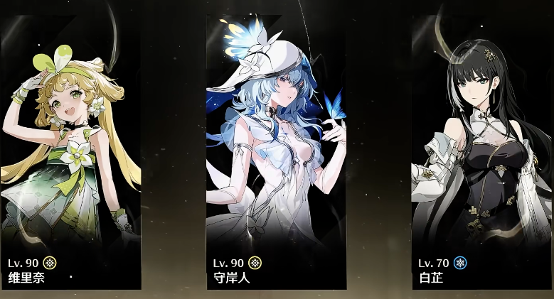 鸣潮有哪些顶级配队