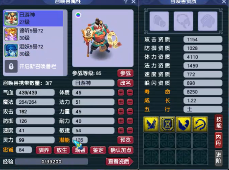 梦幻西游合宠五行出什么五行