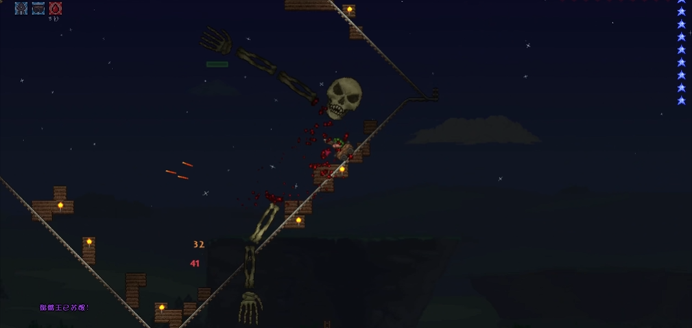 泰拉瑞亚骷髅王专家怎么打