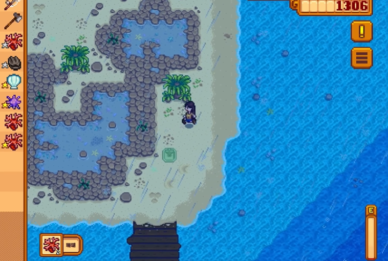 星露谷物语海边在哪里